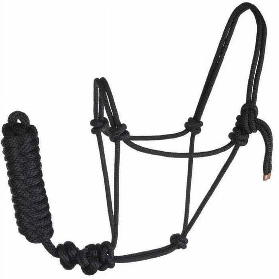 Rope Halter and Lead