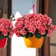 thumbnail image 4 of Flores artificiales de geranio Hananona para exteriores (12), 4 of 8