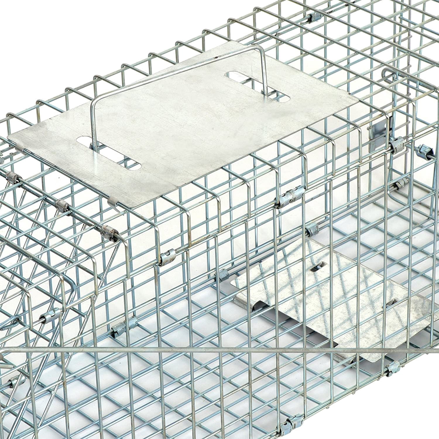 ANHXN Small Live Animal Trap Steel Cage Catch and Release One Door Humane Rodent Cage Trap for Little Rabbits/Stray Cats/Squirrel/Skunk/Mink/Opossum Outdoor Animals