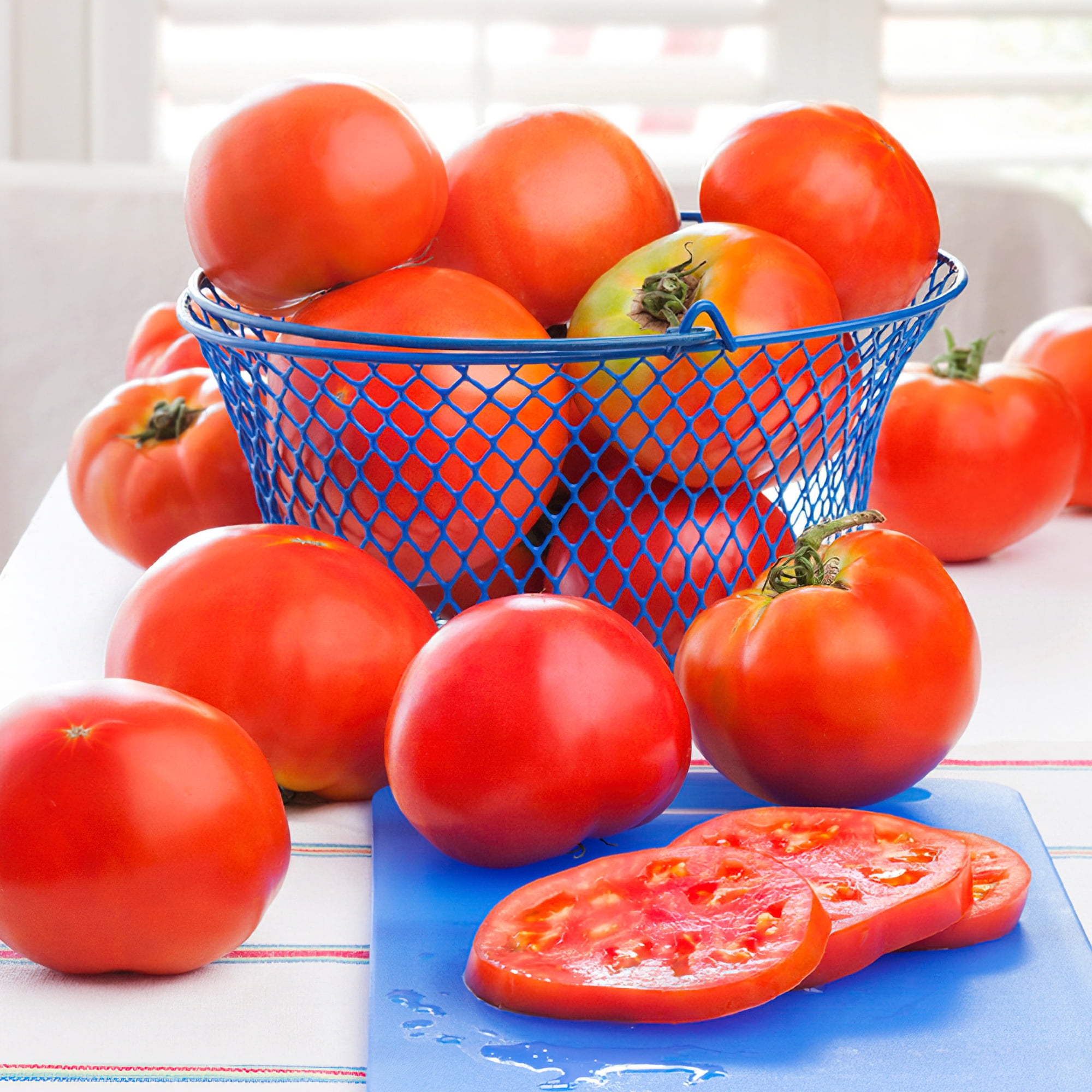 Bonnie Plants Celebrity Tomato Live Plants, Disease Resistant