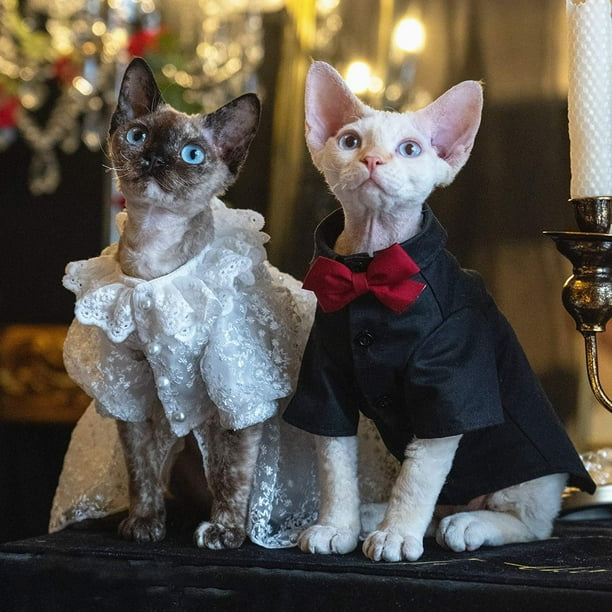 Robe de 2024 mariée pour chat