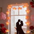 thumbnail image 4 of Two-Tone Heart String Lights,Multicolor LED Fairy Lights with Warm White Diodes,for Festive Party Bedroom Decor and Romantic Ambiance Setting on Valentine's Day Dates,Creating Cozy Atmosphere, 4 of 9