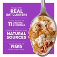 thumbnail image 4 of Kellogg's Special K Breakfast Cereal, Fiber Cereal, Family Breakfast, Family Size, Fruit and Yogurt, 17.9oz Box (3 Box), 4 of 8