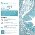 thumbnail image 4 of Triquetra Health GLP-Pre: GLP-1 Prebiotic Fiber Complex, 4 of 9