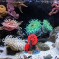 thumbnail image 4 of GOOHOCHY De Artificial Para Acuario Con En ABS Para De Paisajes Interiores, 4 of 6