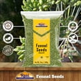 thumbnail image 4 of Rani Fennel Seeds (Saunf Sabut) Whole Spice 14oz (400g) All Natural ~ Gluten Friendly | NON-GMO | Kosher | Vegan | Indian Origin, 4 of 8