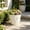White, variant on Lunxisen 1 Pcs Double Layer Butterfly Patterned Hollow Out Planter Plastic Embossed Flower Pot for Home Gardening Container