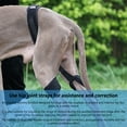 thumbnail image 5 of Pet Dog Leg Brace Comfortable Breathable Adjustable Leg Joint Compression Wrap For Relieves Pain, 5 of 9