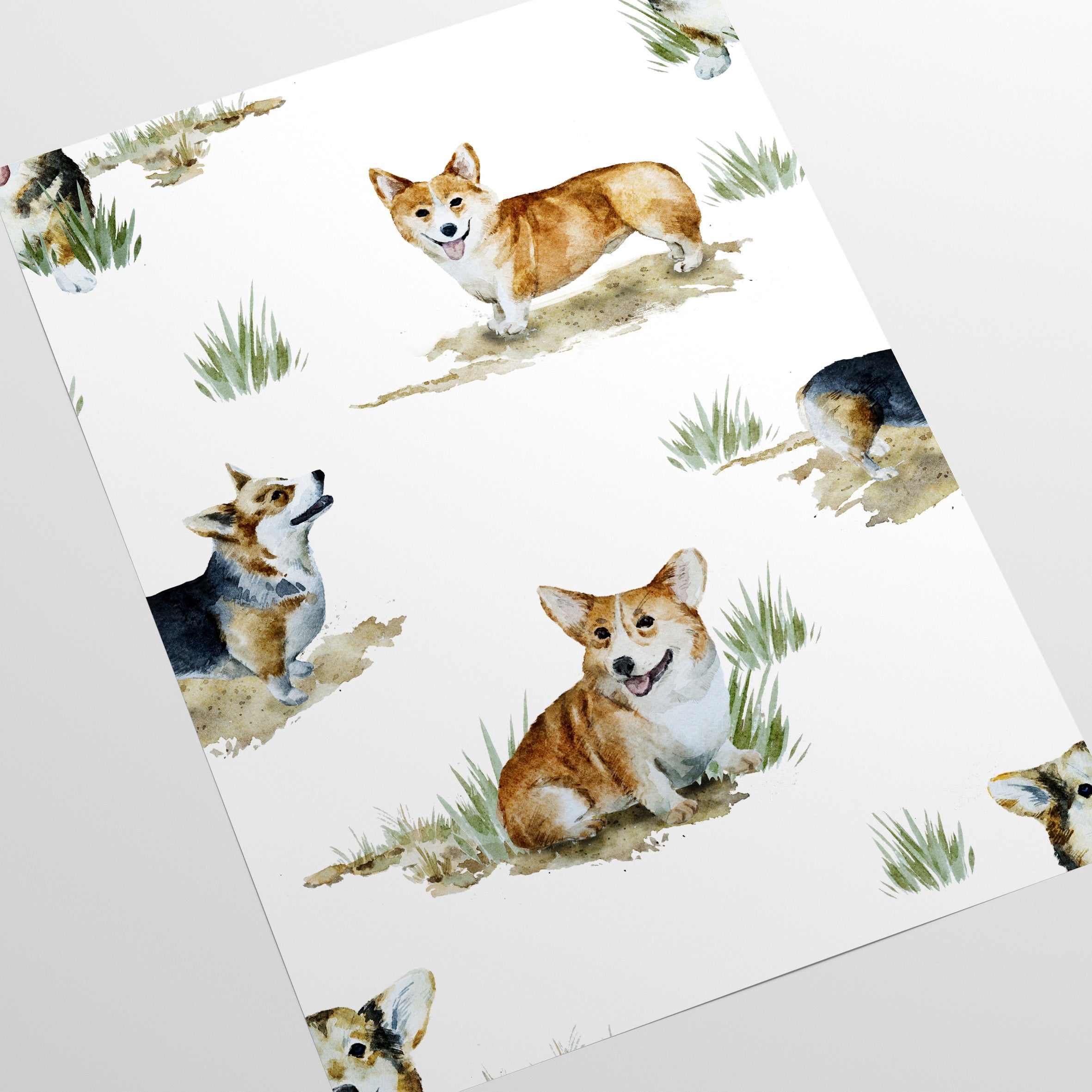 Corgi Wallpaper