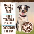 thumbnail image 4 of Merrick, Fresh Kisses Brush - Mint - Dog Treat, 4 of 5