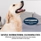thumbnail image 5 of pet eye drops for cats and dogs to remove tear stains, relieve eye discomfort, gently clean facial eye drops, 5 of 5