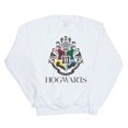thumbnail image 1 of Harry Potter Womens Hogwarts Crest Sweatshirt, 1 of 3