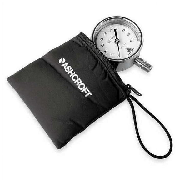 Ashcroft Pressure Gauge,0 to 300 psi,3In,1/4In 30-1084S 02L 300 PSI