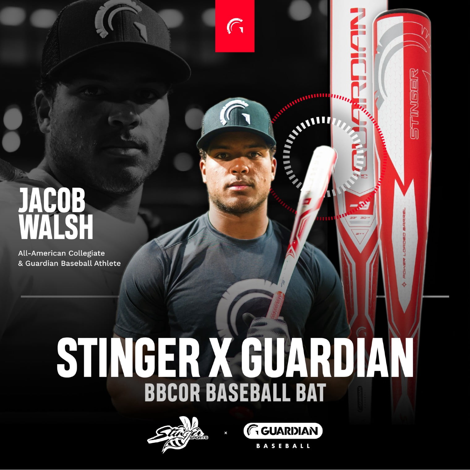 Guardian Baseball X Stinger The Guardian BBCOR 2 5/8" Aluminum Baseball Bat Drop -3