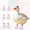 A001- Pink, variant on Duck Boots for Pet Ducks, Waterproof Outdoor Pet Duck Shoes Protect Paws, Purple Duck Accessories for Walking and Outdoor Use