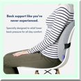 ErgoFirm Lumbar Support Pillow Extra Dense MultiRegion Back Support