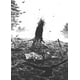 thumbnail image 3 of Póster de arte de guerrero Bushido Vagabond de Miyamoto Musashi, manga de anime japonés vintage, pintura en lienzo, impresiones de pared, imagen para decoración del hogar, 3 of 5