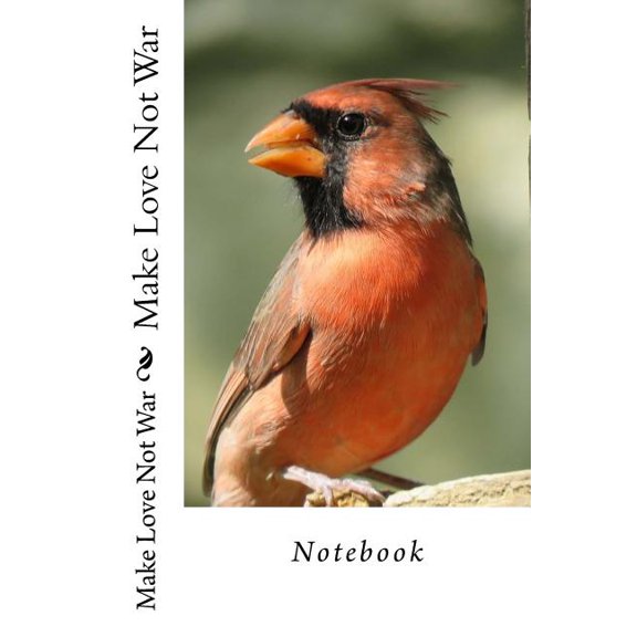 Make Love Not War : Notebook (Paperback)
