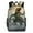 HuWng, variant on Dinosaur Surfing Epic Wave Ride Backpacks for Backpack for Bookbag