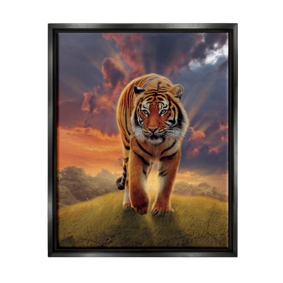 Stupell Industries Rising Tiger Sunset Animals & Insects Painting Black Floater Framed Canvas Art Print Wall Art, 17 x 21