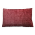 thumbnail image 1 of Ahgly Company Indoor Rectangular Mid-Century Modern Lumbar Throw Pillow, 13 inch by 19 inch, 1 of 5