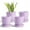 Purple-1, variant on BUYMAX5 inch Ceramic Flower Pot with Drainage Hole and Ceramic Tray,Set of 4,White