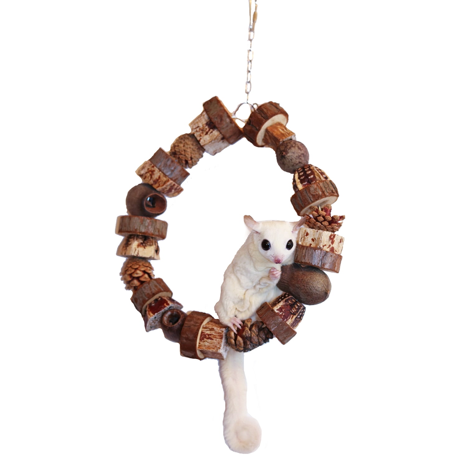 Exotic Nutrition Woodland Hoop Small Animal Cage Accessory