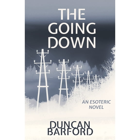 Pre-Owned The Going Down (Paperback) 1915952387 9781915952387