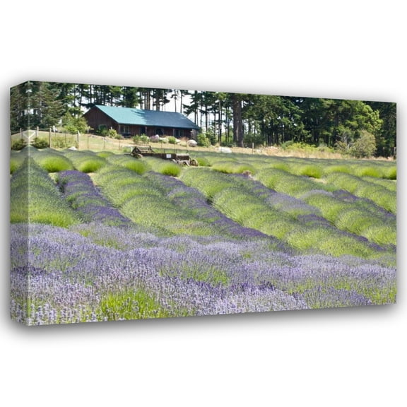 Dana Styber 24x17 Gallery Wrapped Canvas Wall Art Titled - Lavender Hill I
