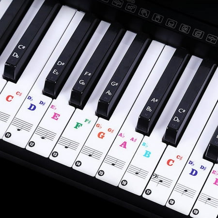 88/61 key color piano letter notes stickers keyboard hand roll piano keyboard transparent stickers notation transparent