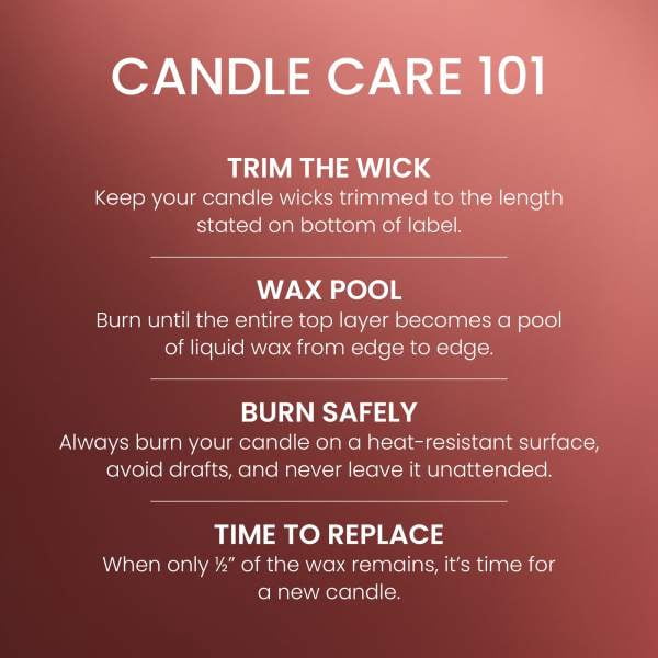 Yankee Candle Small Tumbler Scented Single Wick Jar Candle, Sparkling Cinnamon, 4.3 oz (Pack of 2)