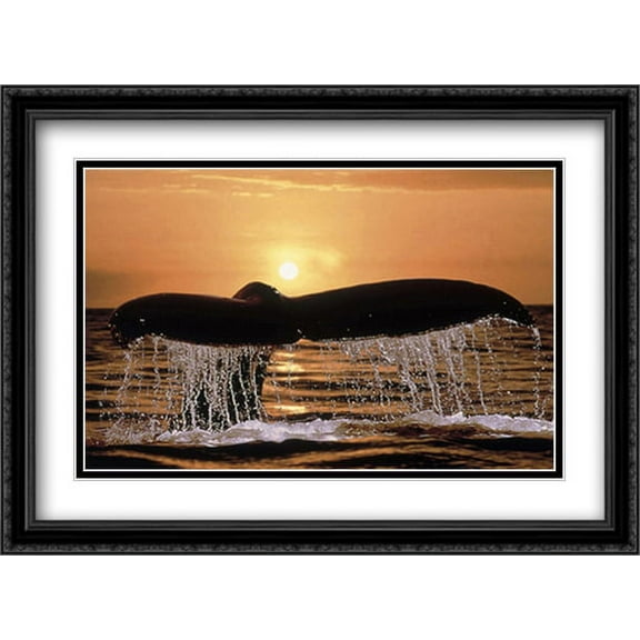 Soleil 2x Matted 28x22 Large Black Ornate Framed Art Print by Bob Talbot