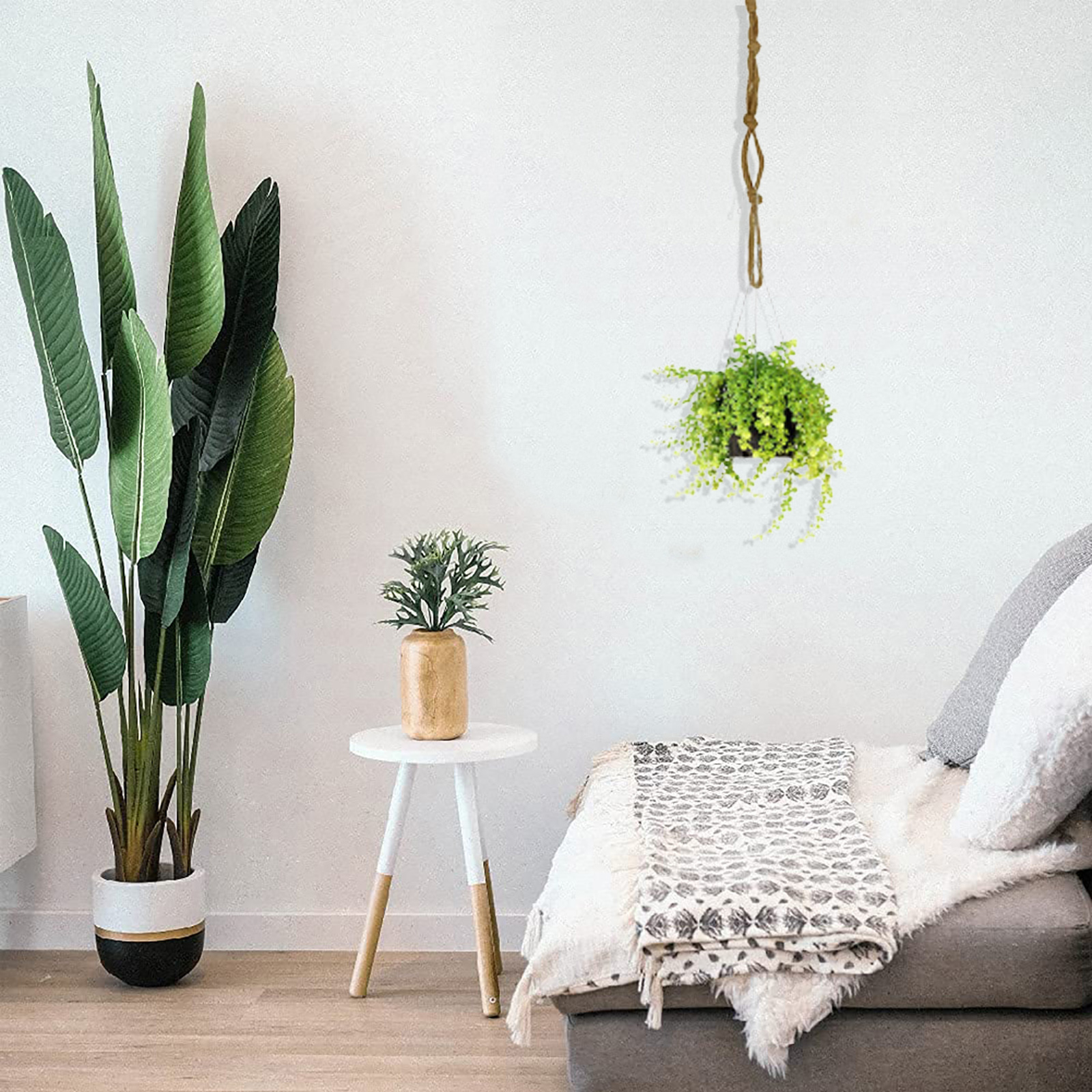 19+ Hanging Plant Extenders PatrickAnilese