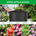thumbnail image 7 of iPower 10 Pack 10 Gallon Grow Bags, Garden Planting Nonwoven Fabric Pots with Reinforced Handle, Heavy Duty and Aeration Planter Pot for Tomato, Fruits, Vegetables and Flowers, Black, 7 of 7