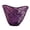 Purple, variant on Underwear Female Embroidered Japanese Students Hollow Out Transparent Triangle Pants 22/24 Panties