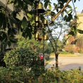thumbnail image 3 of Qucyy Metal Wind Chimes for Indoor and Outdoor Use, 3 of 5