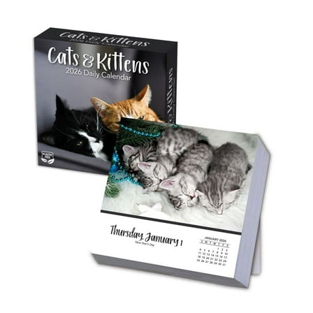 Turner Licensing, Cats And Kittens 2026 Desk Calendar, 5.5'' X 5.5'', 12-Month Calendar with Adhesive Binding