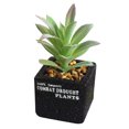thumbnail image 1 of Coofit Artificial Succulent Mini Plastic Decorative Artificial Plant Fake Plant, 1 of 6