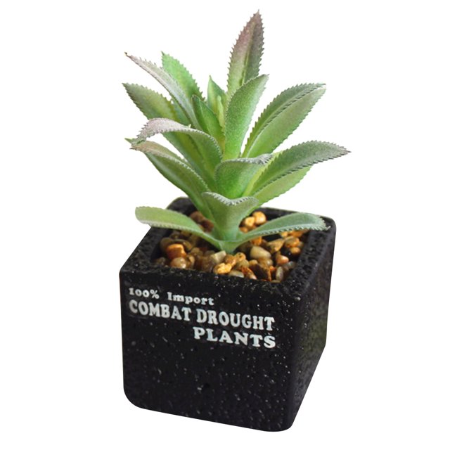 Coofit Artificial Succulent Mini Plastic Decorative Artificial Plant Fake Plant