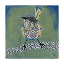 Trademark Fine Art 'Patchwork Wren I' Canvas Art by Grace Popp