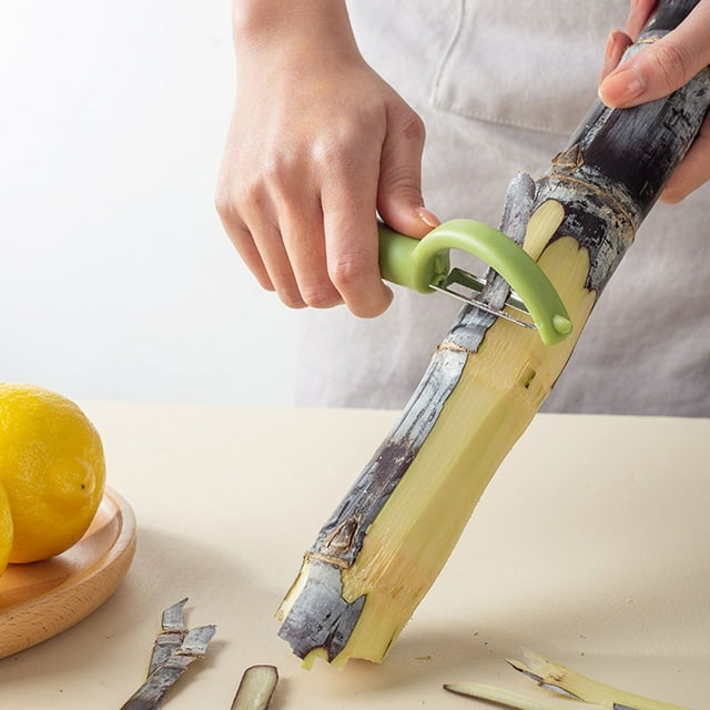 Pelador de Acero Inoxidable, Cuchillo Multifuncional para Caña de Azúcar, Mango Ergonómico, Hoja de Acero Martensítico Resistente, Cepillo para Melón, Fácil de Limpiar, Tamaño 17 X 3 Cm