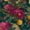 Color 3, variant on Peel and Stick Wallpaper Leopard Amid Tropical Foliage Pink Flowers Dark Wall Mural 23.6in x 9.8ft Self Adhesive Removable Wall Paper Renter Friendly Wallpaper for Nursery Bedroom Cabinets