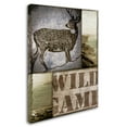 thumbnail image 2 of Trademark Fine Art "Wild Game" Canvas Art by Color Bakery, 2 of 3
