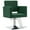 Green, variant on BarberPub Hydraulic Barber Chair, Swivel Salon Chair for Hair Stylist