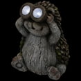 thumbnail image 4 of Northlight Hedgehog with Binoculars Outdoor Solar Lighted Garden Statue - 11.5", 4 of 9