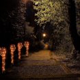 thumbnail image 3 of Halloween Decorations, 4 Pack Realistic Scary Skeleton Arms, Halloween Pathway Lights Halloween Indoor Outdoor Yard Garden Decor, 3 of 6
