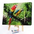 thumbnail image 2 of Cuadros Decorativos Pájaro 50x40cm pintura al óleo por números cuadro pintura DIY Tmvgtek embutido en tela, 2 of 9