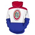 thumbnail image 4 of Sudadera con capucha con estampado 3D de la bandera de Paraguay y Sudáfrica para hombre, sudadera de manga larga con la bandera nacional de Italia, tops de otoño y primavera, 4 of 5