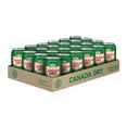 thumbnail image 2 of Canada Dry® Ginger Ale 355 mL Cans, 24 Pack, 2 of 7