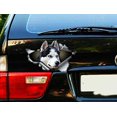 thumbnail image 1 of GHSDFBB Black and White car Decal, car Decoration, car Sticker, Sticker Sticker for Cars, Windows, Walls, Fridge, 11 Inch, 1 of 2